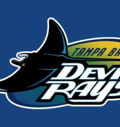 Tampa Bay Rays Devil Rays Flag 3x5ft Banner Usa Polyester With Brass Grommets