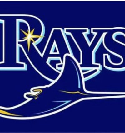 Tampa Bay Rays Flag 3x5ft Banner Usa Polyester With Brass Grommets