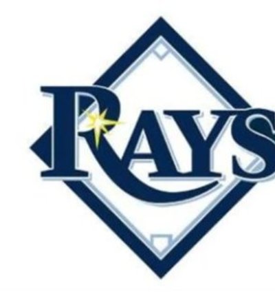 Tampa Bay Rays White Us Flag 3x5ft Banner Usa Polyester With Brass Grommets