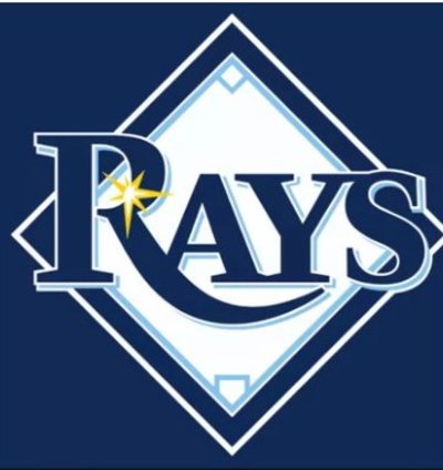 Tampa Bay Rays Blue Flag 3x5ft Banner Usa Polyester With Brass Grommets