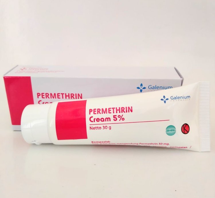 Permethrin Galenium 5 Cream Therapy For Scabies