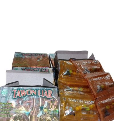 Herbal Tawon Liar Capsules For Rheumatism Gout And Back Pain Relief
