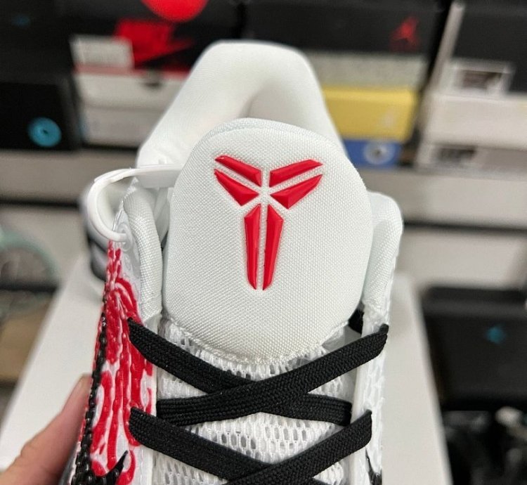 Nike Kobe 6 Protro Cny