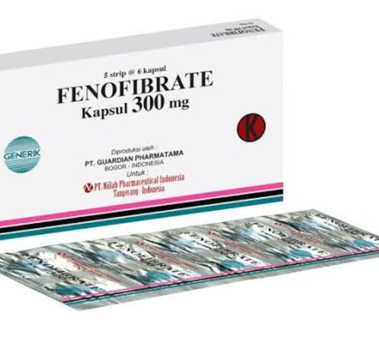 Fenofibrate Capsules 300 Mg Used For To Reduce And Treat High Cholesterol And Triglyceride