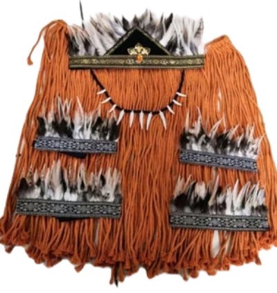 A Set Of Traditional Papuan Costumes For Elementary Middle High School And Adults Sajojo Dance And Carnival